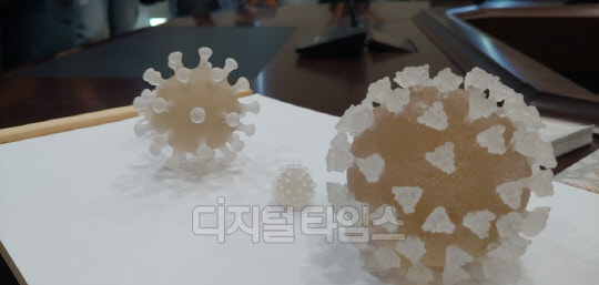 한국화학연구원 신종바이러스융합연구단이 3D 프린터를 이용해 만든 '코로나19 바이러스' 모습으로, 세 개 바이오 기업에 코로나19 진단키트, 치료제, 백신 후보물질을 각각 이전했다.   사진=이준기기자